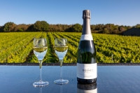Henkell Freixenet übernimmt englische Sekt- und Weinkellerei -